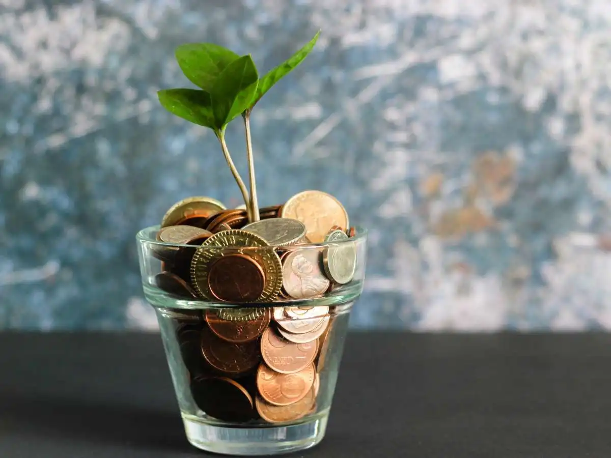 71_Financial-Transparency_micheile-henderson-unsplash_featured Plant in money image