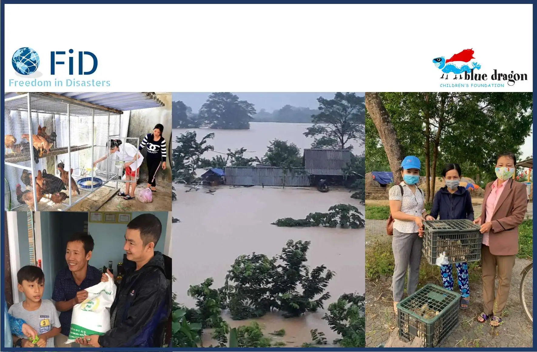 Blue Dragon FiD cooperation image